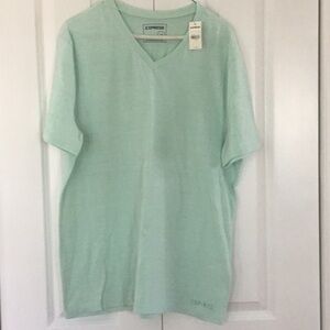 Express Mint V-Neck Tee